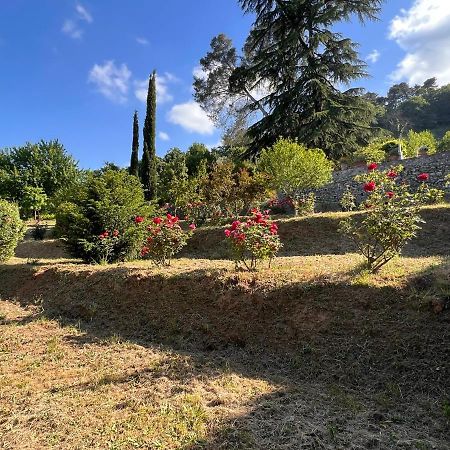 Borgo Al Canto Degli Alberi Lucca Exterior foto